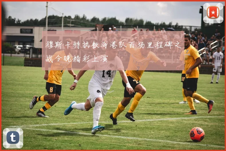 穆斯卡特执教海港队百场里程碑之战今晚精彩上演